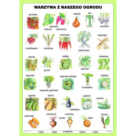 Warzywa z naszego ogrodu